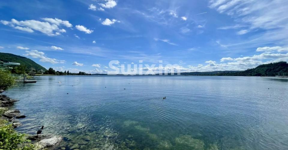 Superbe appartement 4.5 pièces au Landeron à deux pas du lac - Appartement 4.5 pièces - image - 3