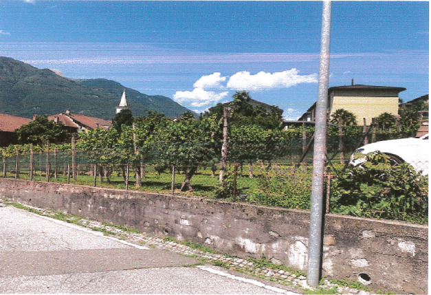 Einfamilienhaus in naher Bauausführung in Cadenazzo in neuem Wohnkomplex - Image 5
