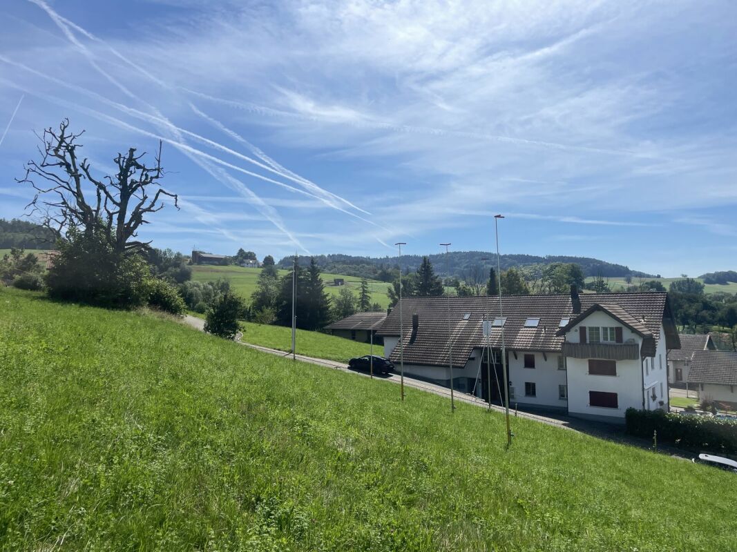 Grosszügige 6.5 Zimmer-Terrassen-Wohnung mit Weitsicht - Aussicht