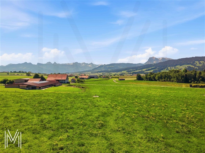 Ihr zukünftiges zeitgenössisches 5,5-Zimmer-Haus in Gruyère -  Bild 6