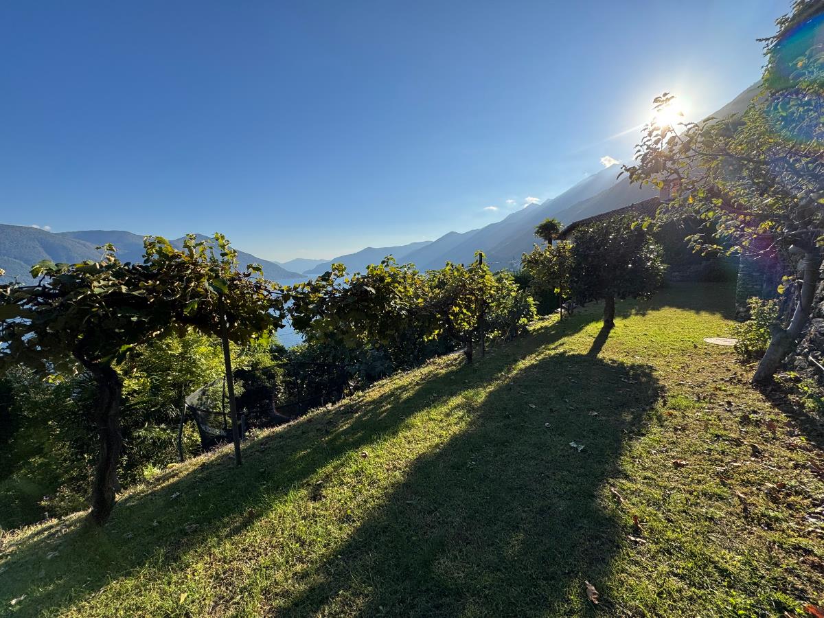7 Zimmer Einfamilienhaus -  Bild 2