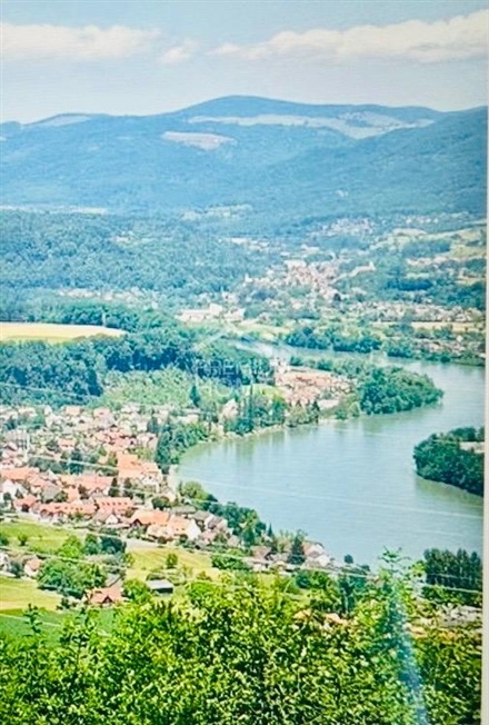 Wohnen in unmittelbarer Nähe zum Rhein -  Bild 2