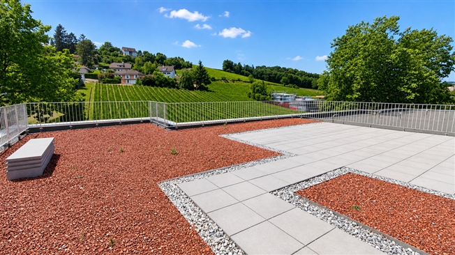 Grosses Studio mit Balkon und Keller – 2. Stock – Neues Projekt -  Bild 7