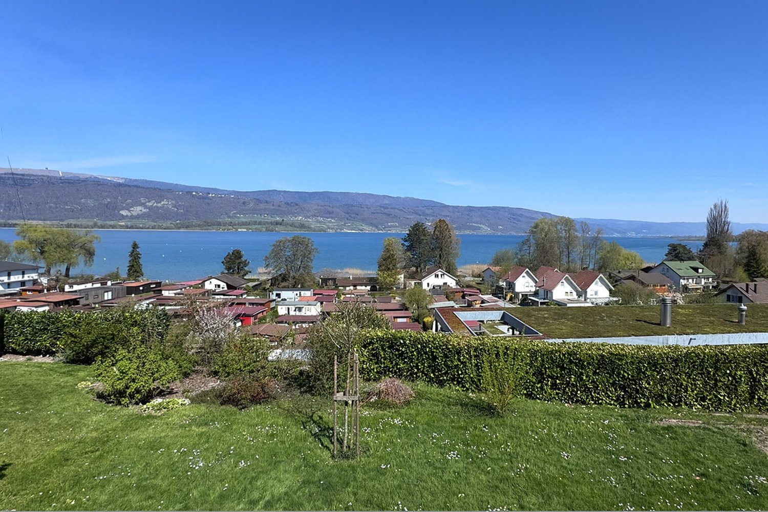 Unverbaubare Seesicht am Bielersee – Exklusive Neubauwohnungen in Lüscherz -  Bild 3