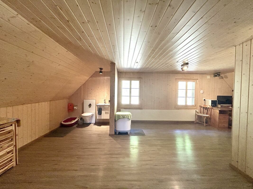 Modernisiertes Einfamilienhaus mit hochwertigem Neubau-Anbau und 3 Einstellplätzen in Thörigen -  Bild 9