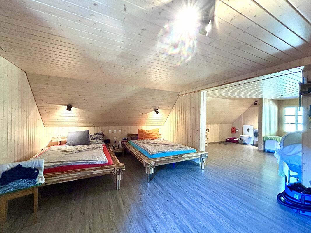 Modernisiertes Einfamilienhaus mit hochwertigem Neubau-Anbau und 3 Einstellplätzen in Thörigen -  Bild 10