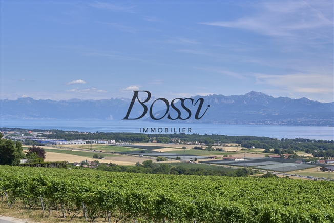 Ein zeitgenössischer Belvedere mit Blick auf den Genfersee -  Bild 3