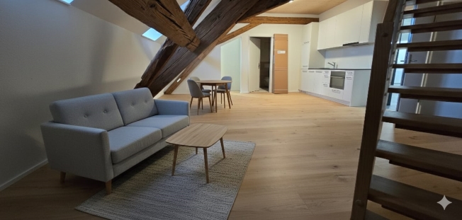 Moderne 2.5-Zimmer-Duplex in Stein AG mieten (Nr. 16) -  Bild 1