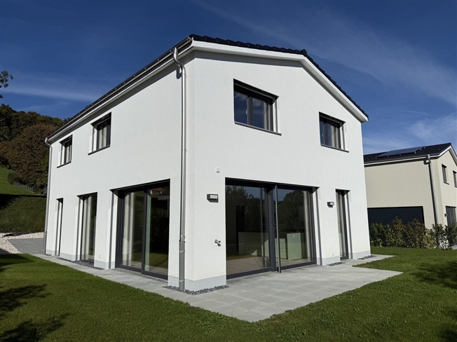 Neues 5,5-Zimmer-Haus zum Verkauf in Movelier -  Bild 1