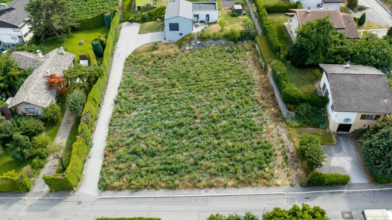 Die Weinberge von L'Arche - Los Nr. 3 -  Bild 11