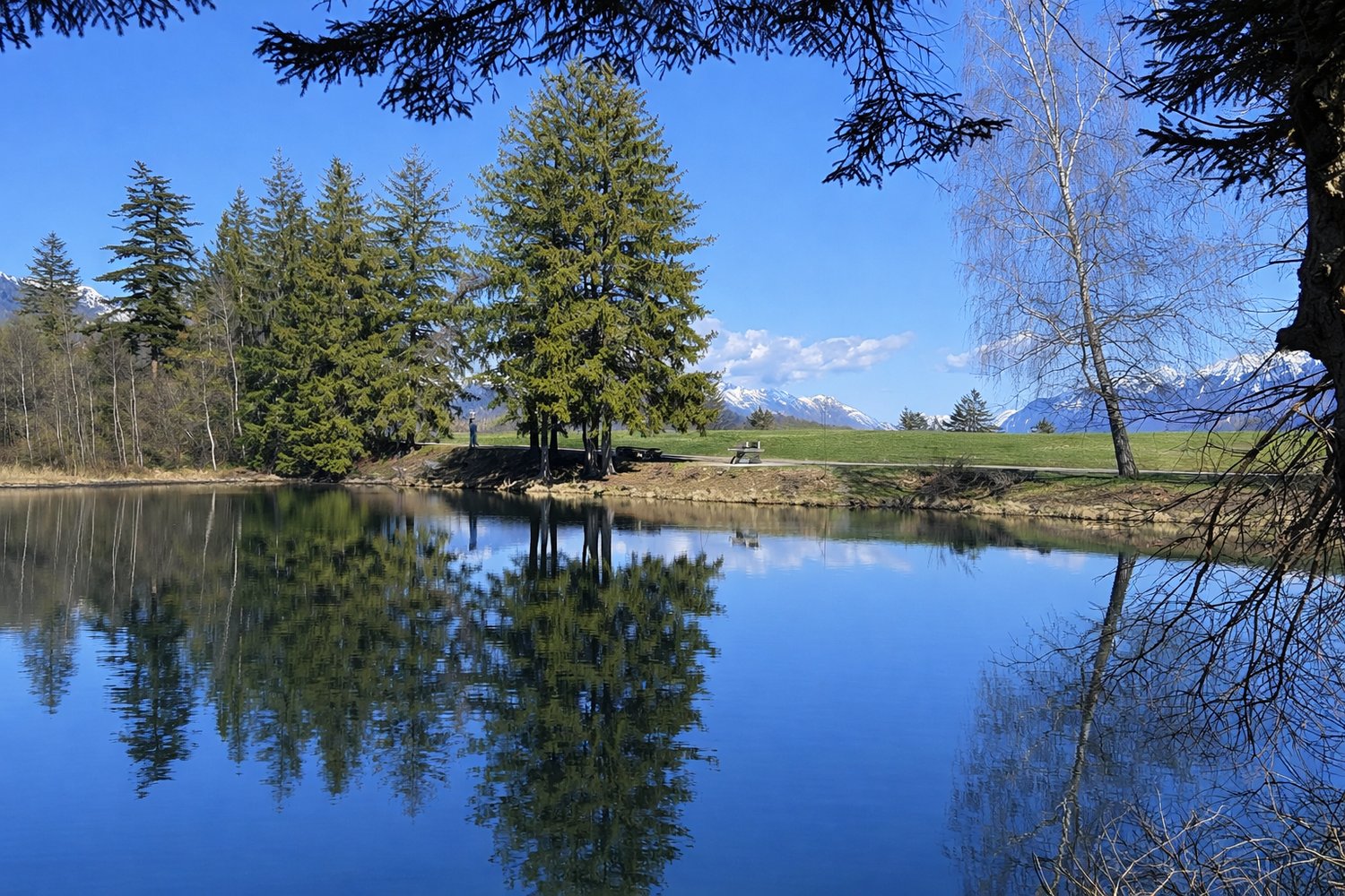 Chalet sur plan avec vue à couper le souffle - résidence principale - Bild 10