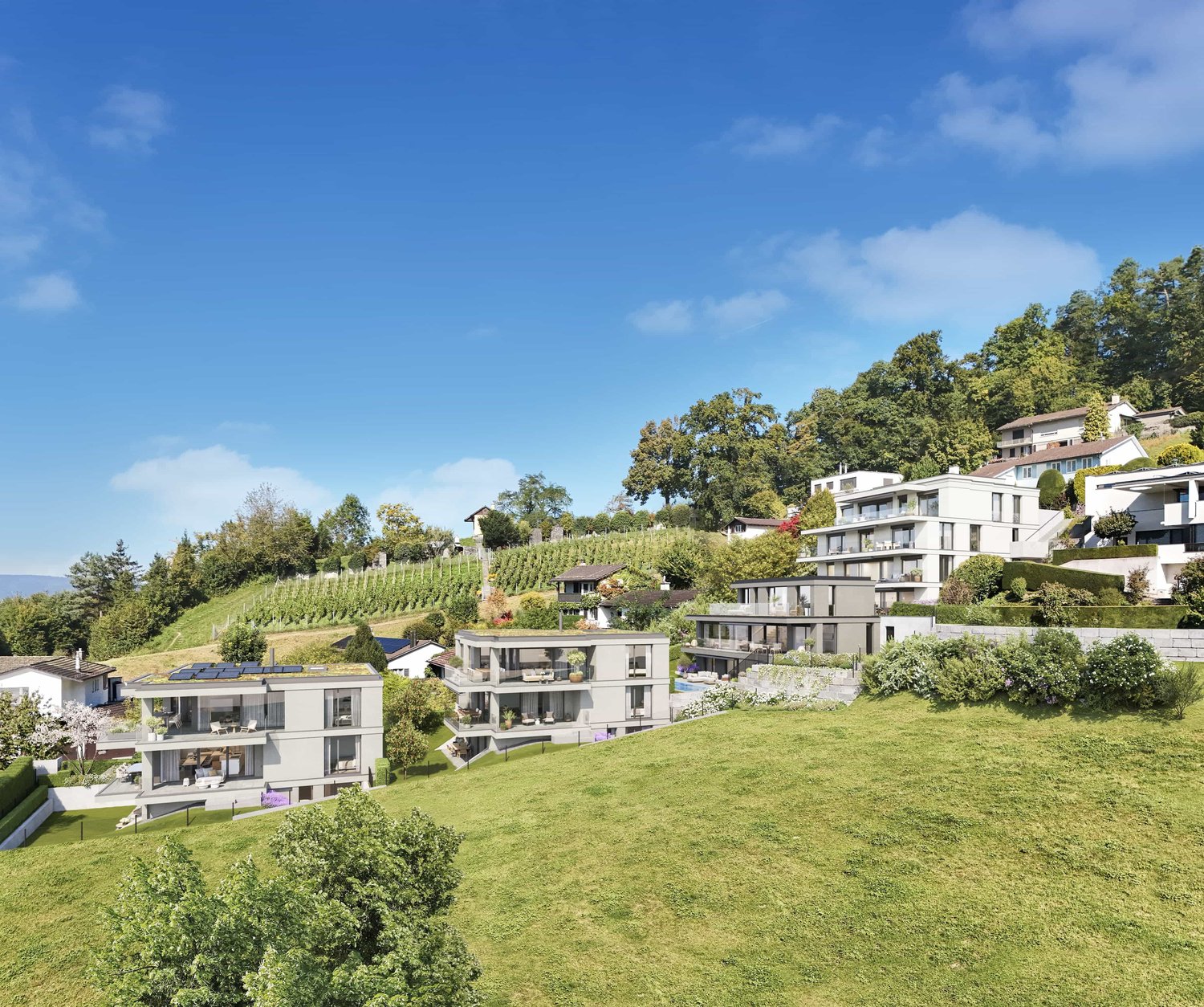 Neubau ARIA: Elegante 5.5-Zimmerwohnung mit Weitsicht - Walde Immobilien AG