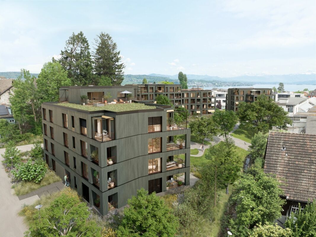 Gartenhaus in Wädenswil! vögeliwohl! -  Bild 3
