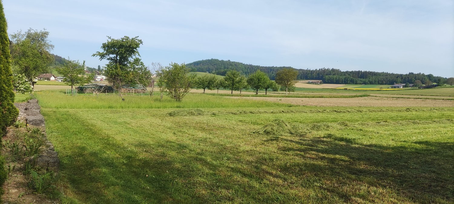 Neubauprojekt - Sechs Familienhäuser in Windlach ZH -  Bild 3