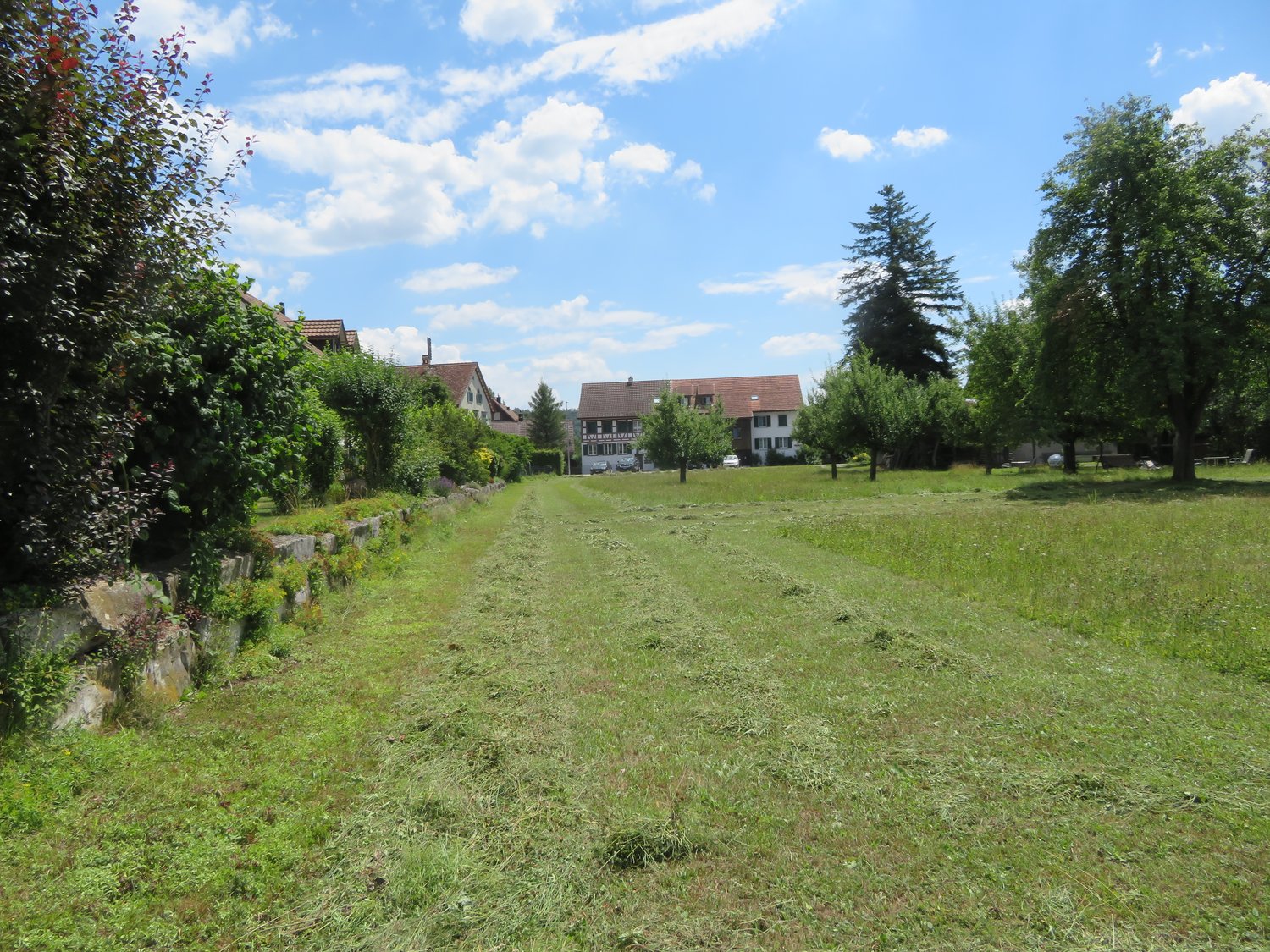 Neubauprojekt - Sechs Familienhäuser in Windlach ZH -  Bild 4