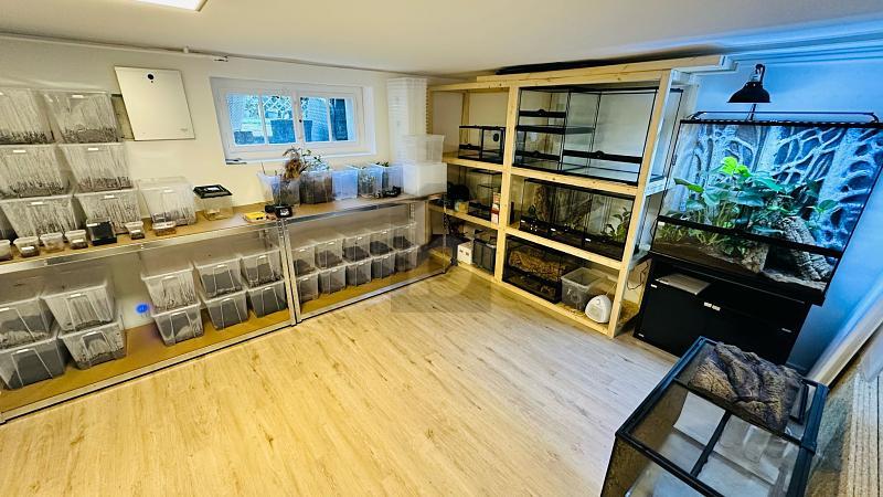 TRAUMLAGE MIT GESTALTUNGSSPIELRAUM - Maison 7 pièces - image - 2