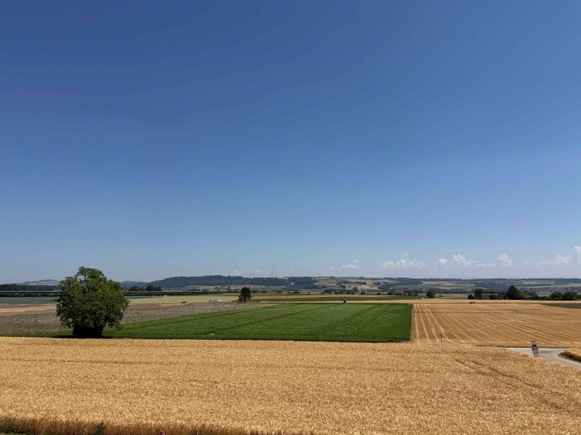Wunderschöne Neubauwohnung 41/2 im Obergeschoss mit Balkon und freiem Blick -  Bild 7