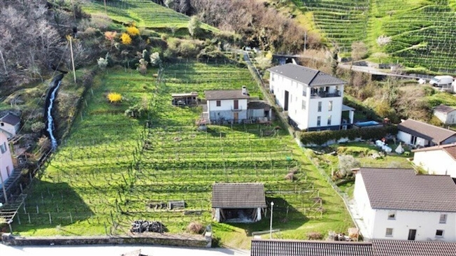 ZU VERKAUFEN IN CONTONE (Gambarogno) - GROSSES BEBAUBARES LAND -  Bild 2