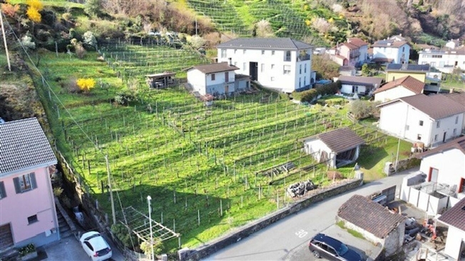 ZU VERKAUFEN IN CONTONE (Gambarogno) - GROSSES BEBAUBARES LAND -  Bild 4