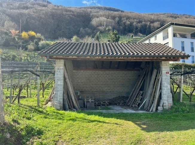 ZU VERKAUFEN IN CONTONE (Gambarogno) - GROSSES BEBAUBARES LAND -  Bild 9