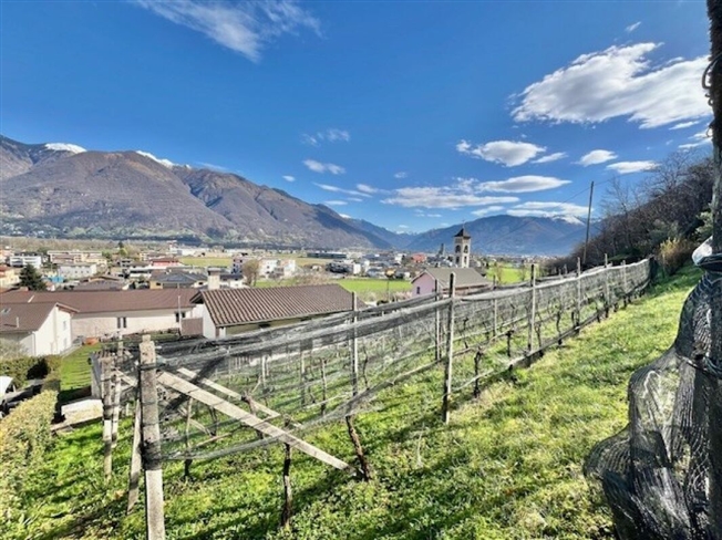 ZU VERKAUFEN IN CONTONE (Gambarogno) - GROSSES BEBAUBARES LAND -  Bild 10