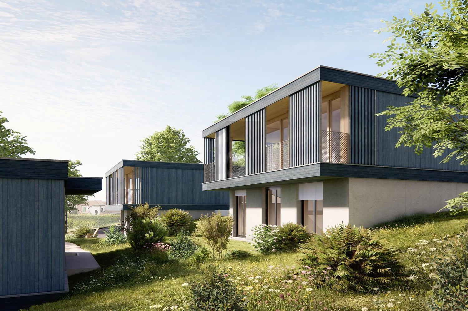 AZUR - NATURNAH WOHNEN AM BLAUEN (C) -  Bild 4
