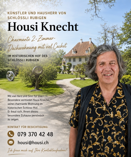 CHARMANTE DACHWOHNUNG IM HISTORISCHEN HOF DES SCHLÖSSLI RUBIGEN -  Bild 9