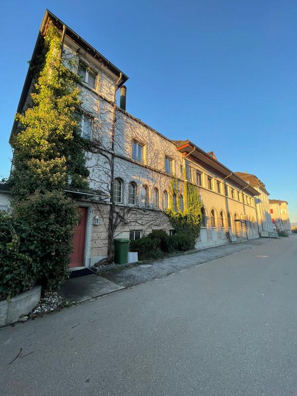 10 Zimmer Mehrfamilienhaus -  Bild 8