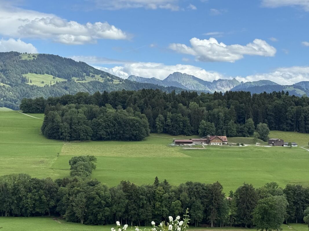 2227 Reihenhaus mit Panoramablick im Hameau des Sens -  Bild 2