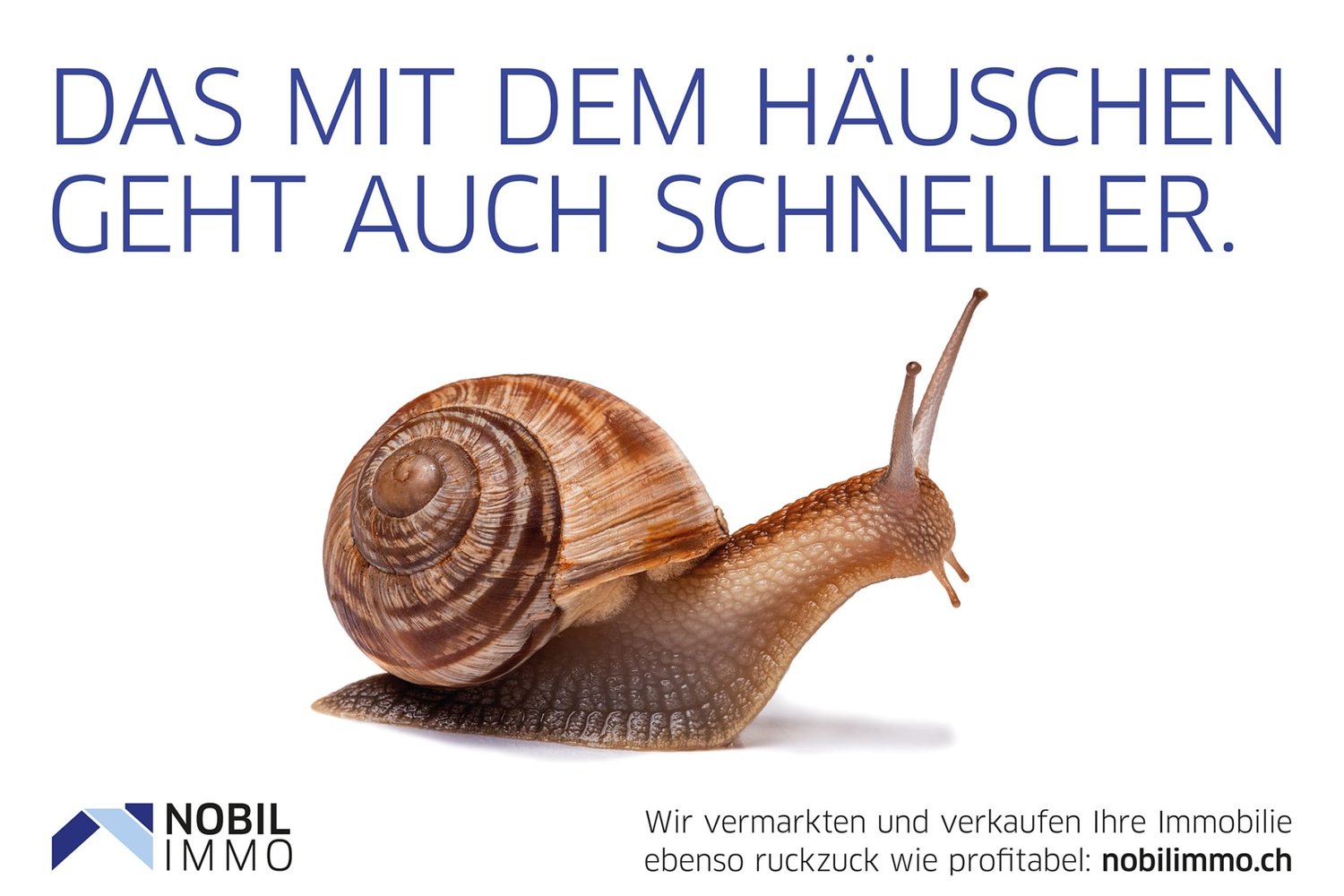 NEUBAU: Wohnen an sonnig-idyllischer Lage -  Bild 13