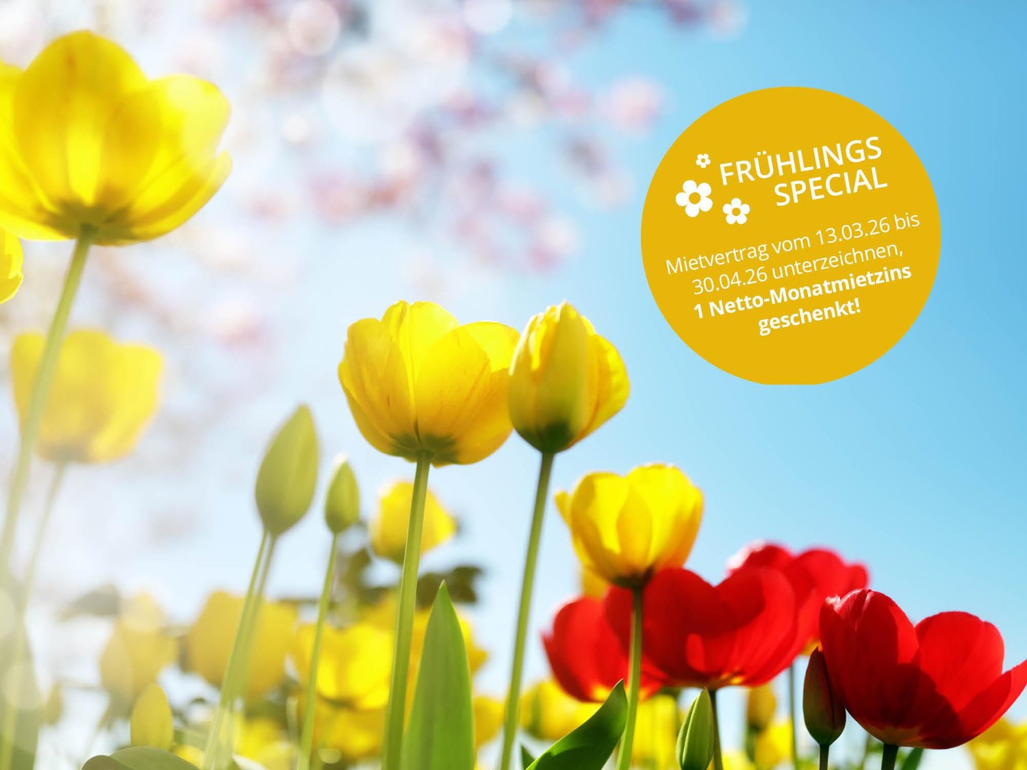 Neubauwohnungen im schönen Küngoldingen! -  Bild 1