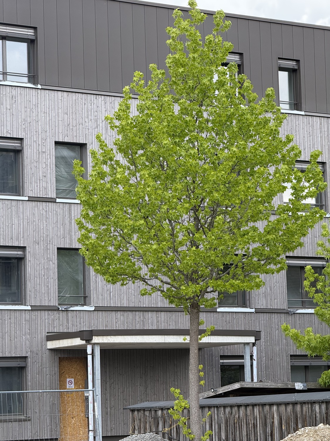 Erstvermietung TOP - Attikawohnung mit 112m2-Terrasse -  Bild 4