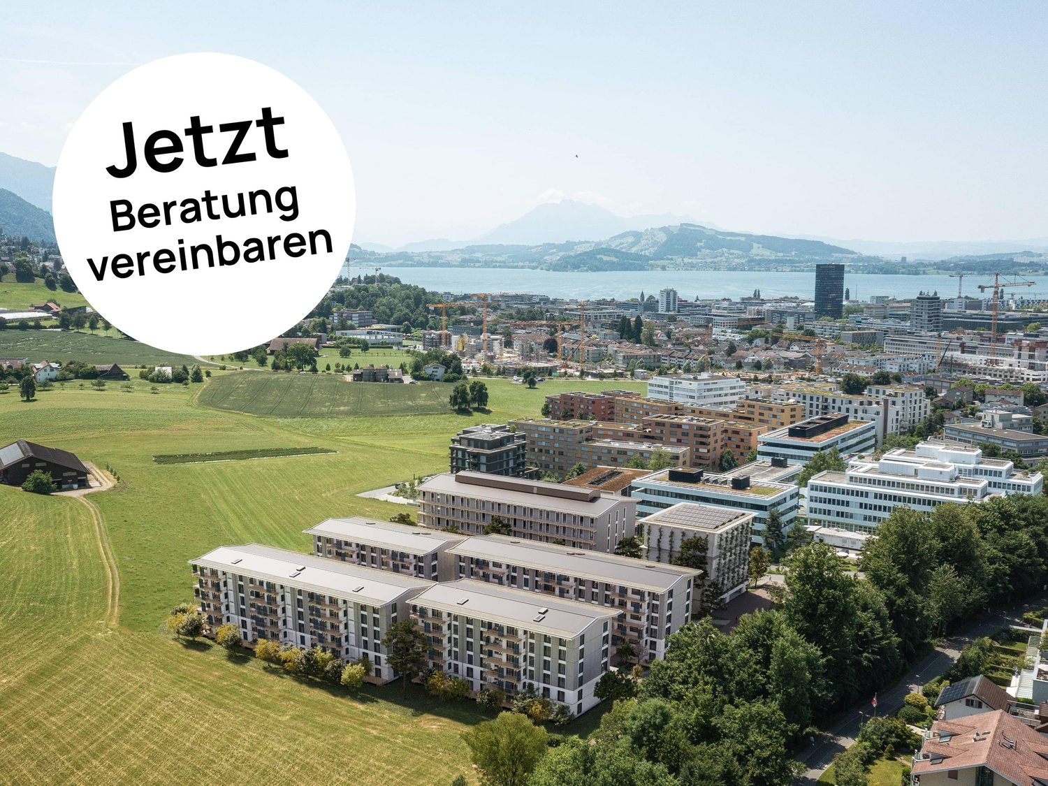 BAARERMATTE: Wo Leben Wurzeln schlägt -  Bild 1