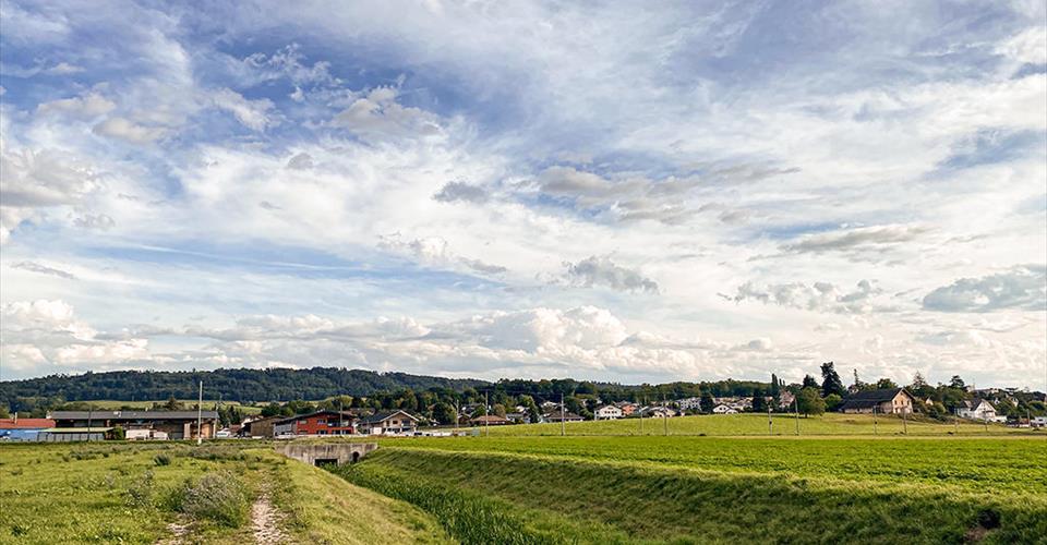CORCELLES-PRES PAYERNE - MAISON AVEC RENDEMENT ET POTENTIEL CONSTRUCTIBLE - Maison 8.5 pièces - image - 3