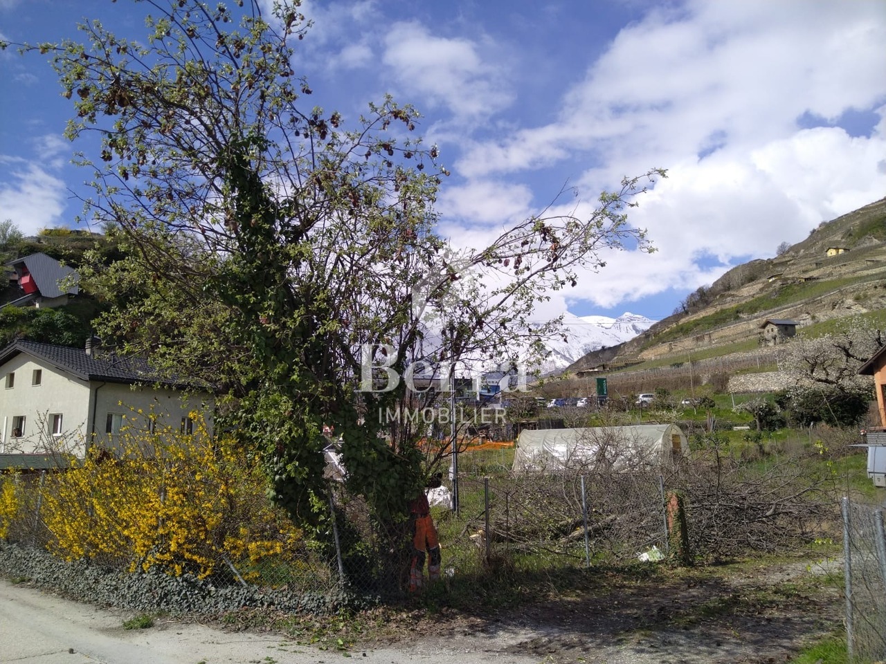 Portachon - Chateauneuf Sion -  Bild 1