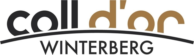 Neubauprojekt "Coll d'Or" - Rohbaubesichtigung möglich -  Bild 8