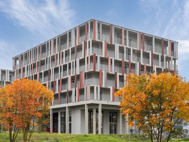 Design-Apartments im Lisbon-Style  Direkt am Bahnhof Muttenz -  Bild 10