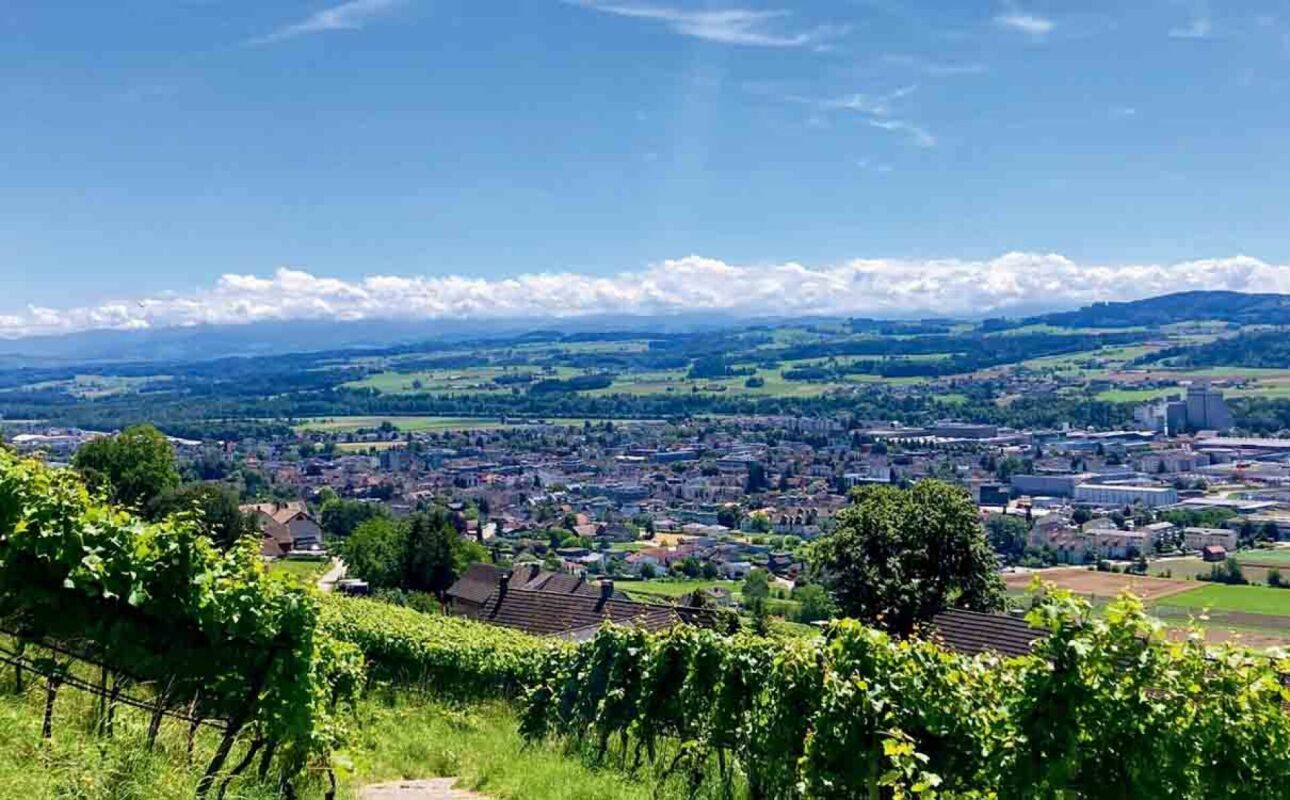 179 m² | 4.5-Zi.-Dachwohnung | Erstbezug -  Bild 5