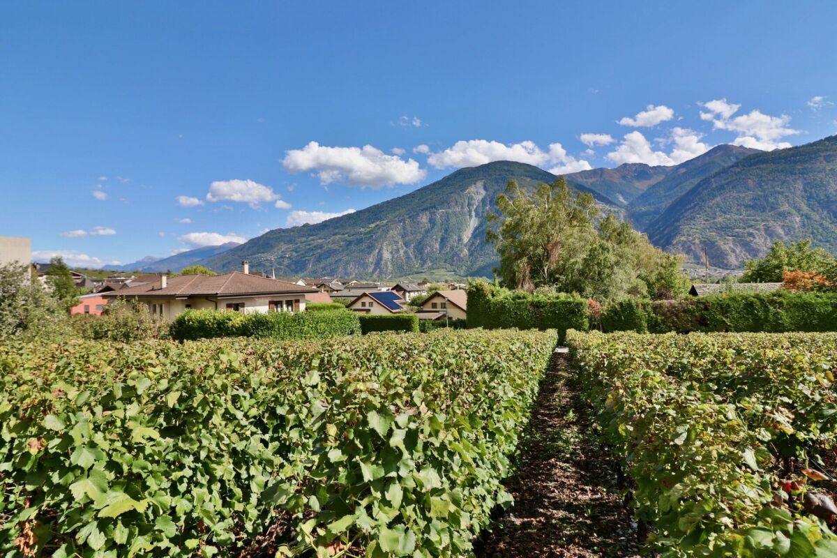 A3 - Les Vignobles de l'Arche - attique 3.5 pces -  Bild 7