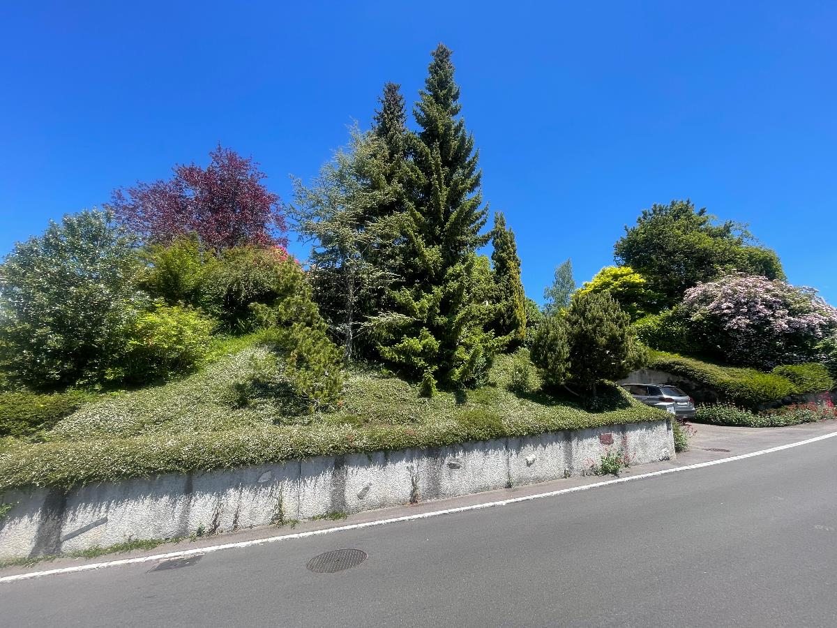 6.5 Zimmer Einfamilienhaus -  Bild 5