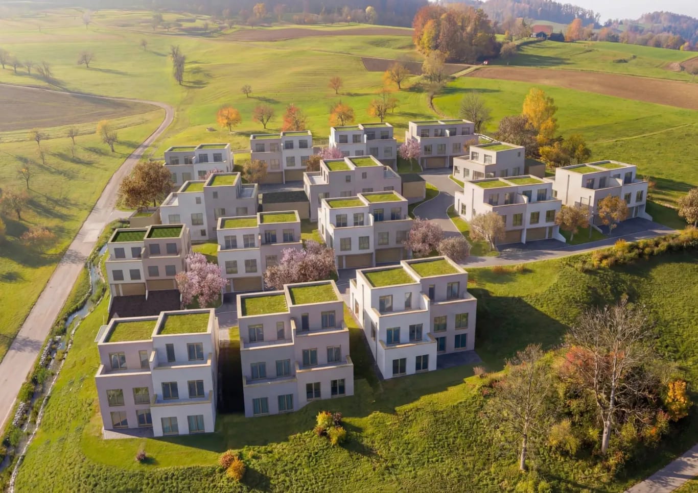 5.5-Zimmer-Doppelhaushälfte mit bis zu 61 m² Terrasse in Thürnen kaufen -  Bild 2