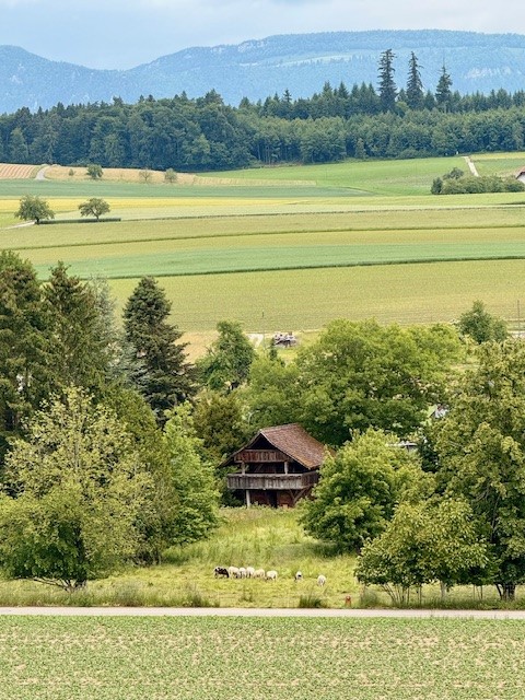 Moderne Eigentumswohnung (Attika) in Lüterkofen (SO), nahe Bern und Solothurn -  Bild 7