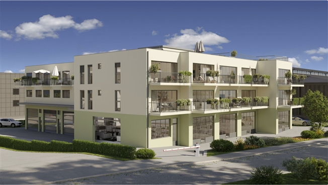 Grosses Studio mit Balkon – 1. Stock – Neues Projekt -  Bild 6