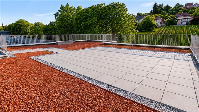 Grosses Studio mit Balkon – 1. Stock – Neues Projekt -  Bild 8