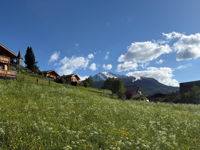 4.5 Zimmer Wohnung -  Bild 9