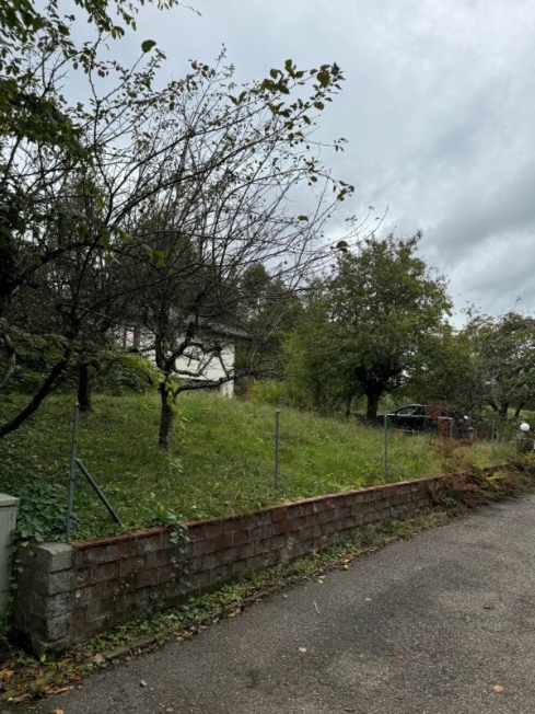 Grundstück mit 1'442m2 mit bestehendem EFH aus dem Jahr 1980 -  Bild 3