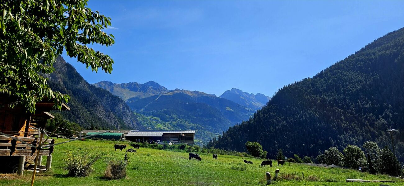 Villa mitoyenne de 3.5 pièces sur la Commune du Val de Bagnes -  Bild 9