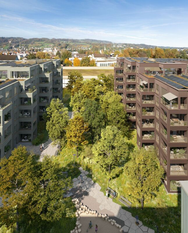 3.5-Zimmer-Neubauwohnung in ruhigem Wohnquartier -  Bild 4