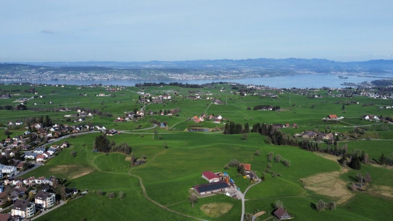 ALTE BUECHEN - Aussicht