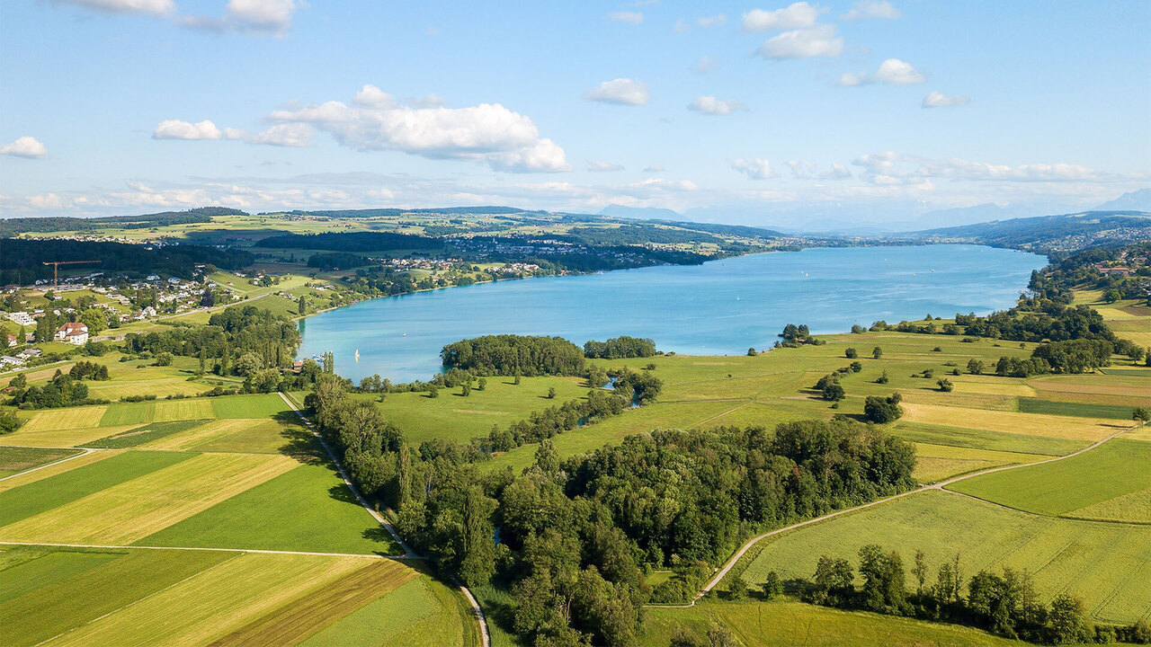 Luxuriöses Neubau Garten Apartment in Seengen - Bild 10